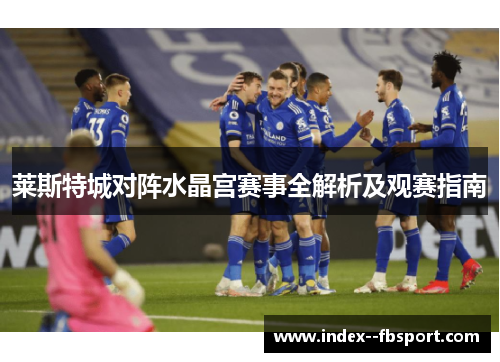 莱斯特城对阵水晶宫赛事全解析及观赛指南