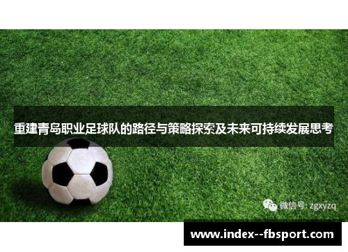 重建青岛职业足球队的路径与策略探索及未来可持续发展思考